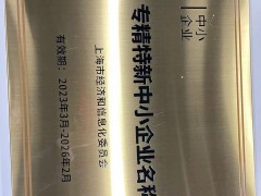 荣获专精特新中小企业名称